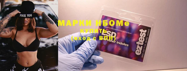 прущий лед Алзамай