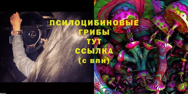 герыч Алексин