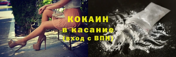спайс Корсаков